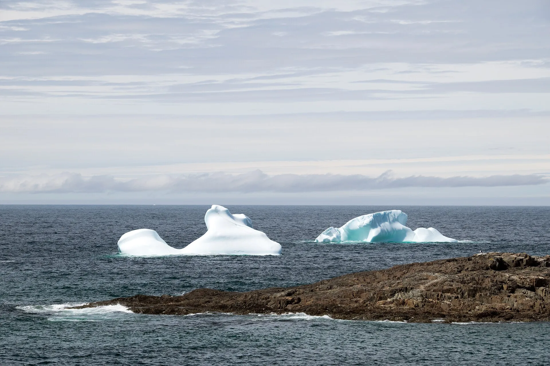 Two icebergs standing offshore near Fogo Island, seen across a low rocky headland.
