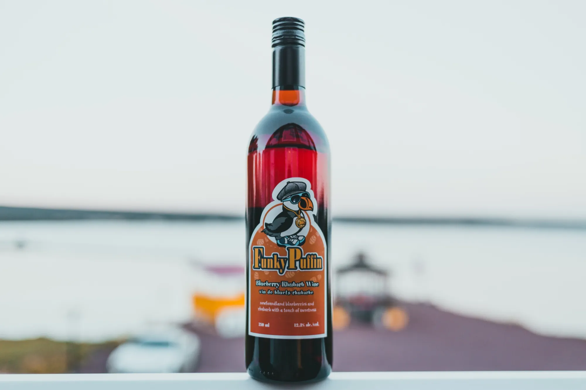 A bottle of Funky Puffin blueberry-rhubarb wine standing on a rail with the bay behind
