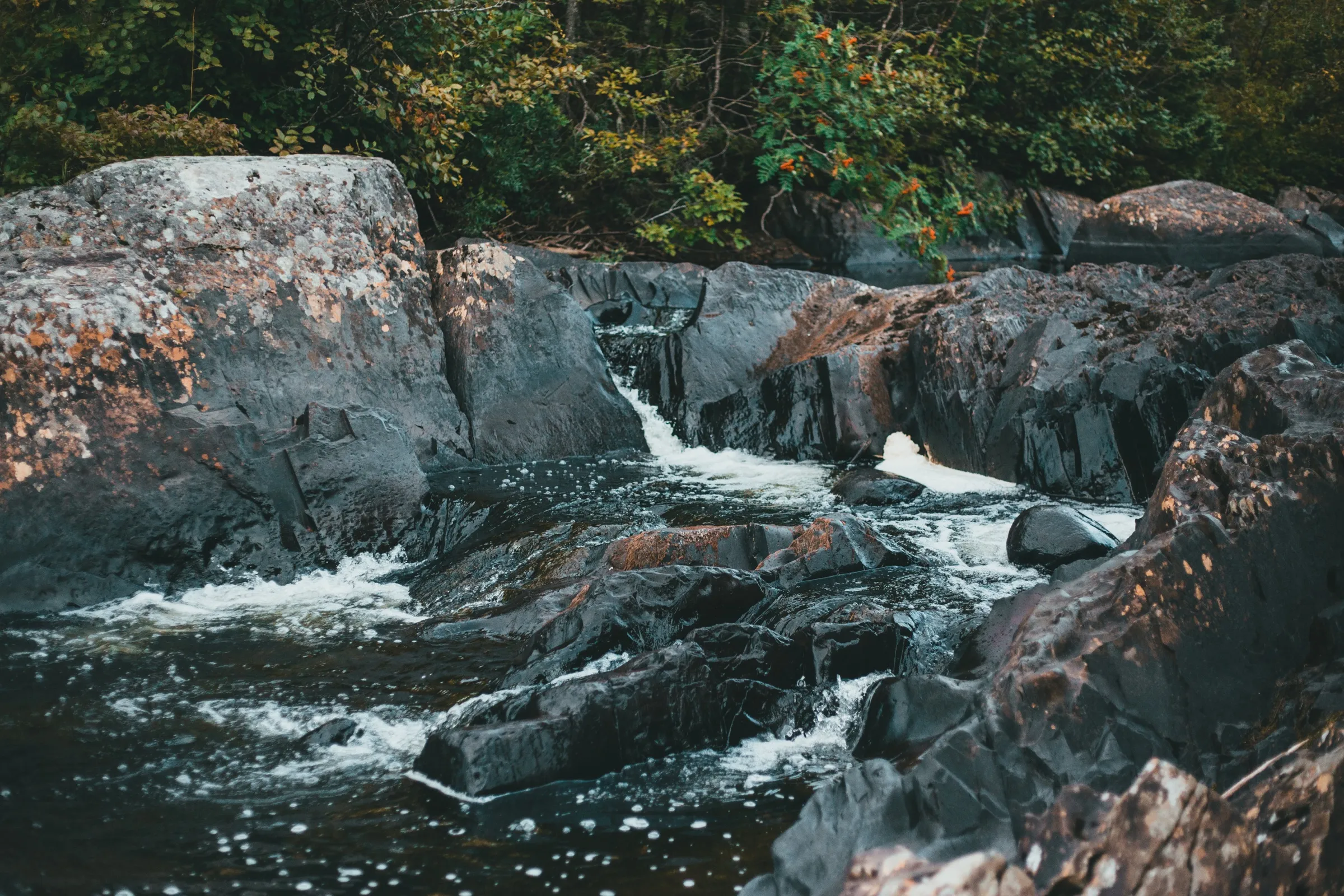 A brook tumbling over dark rock ledges into a shallow pool, surrounded by forest
