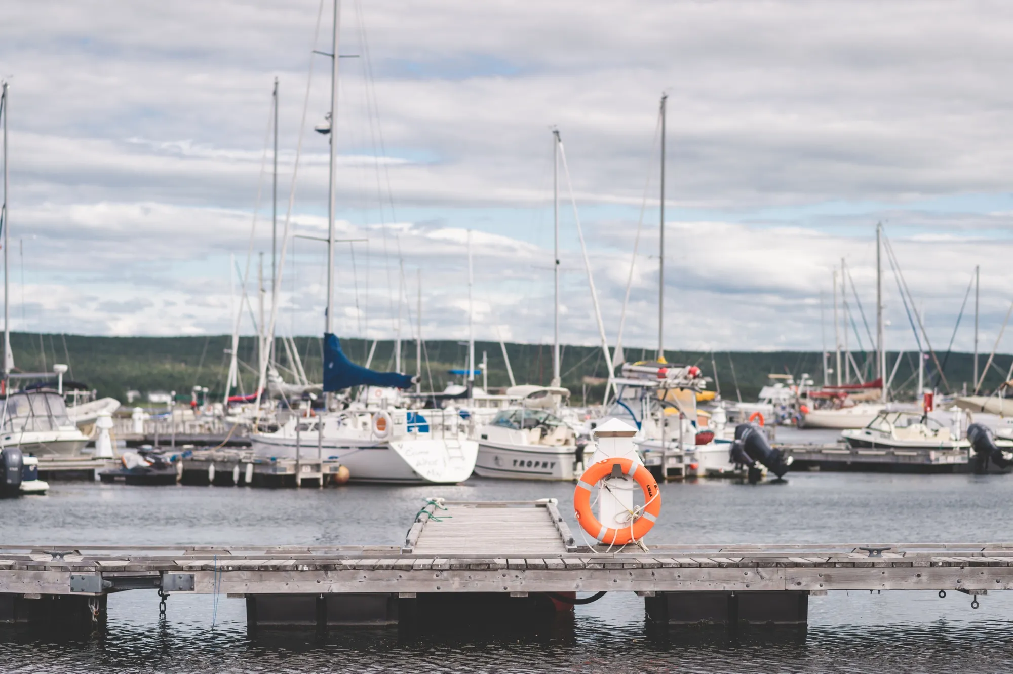 Sailboats moored along a floating dock, masts bare against the sky