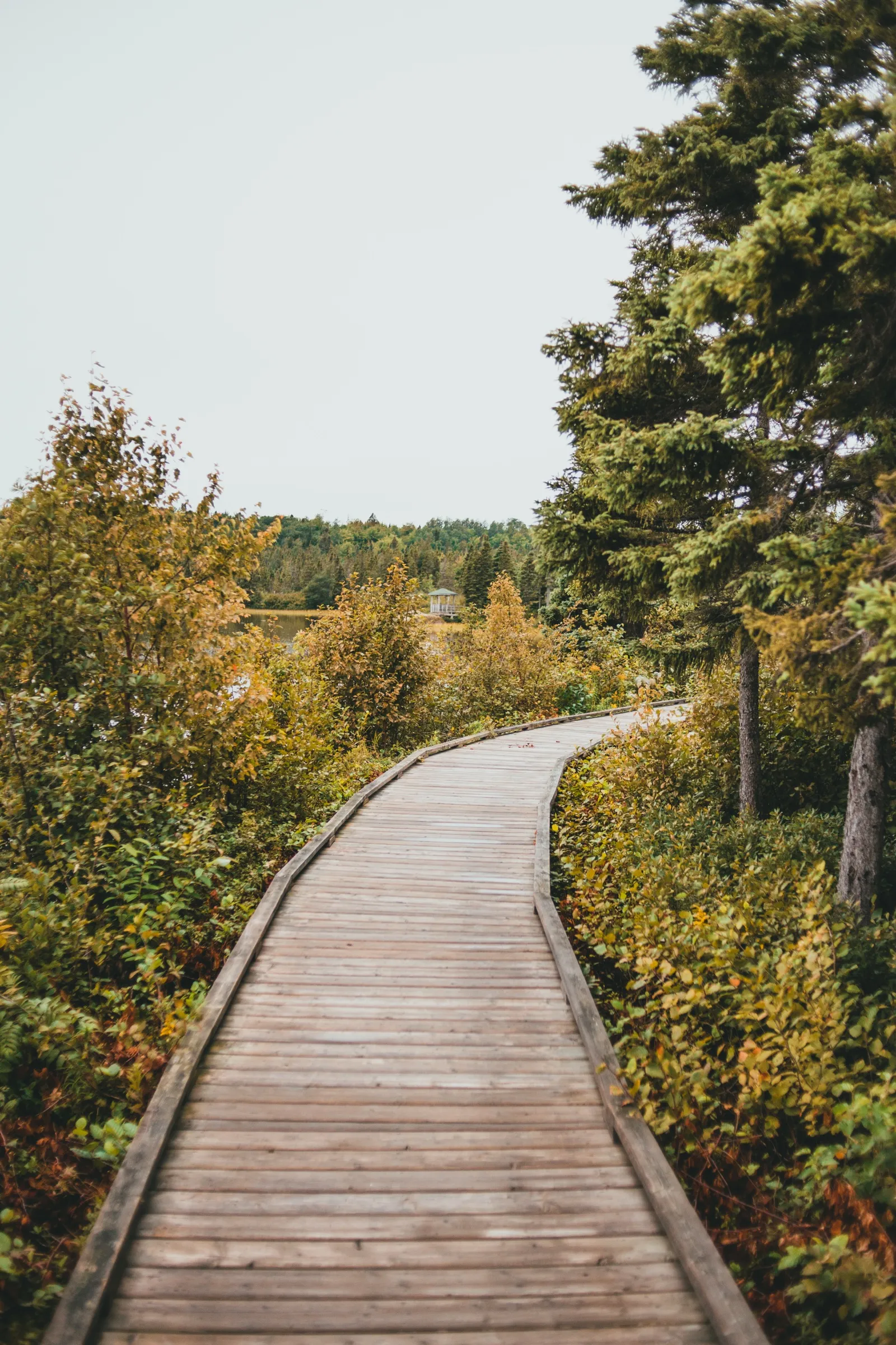The wooden boardwalk curving along the treed shore of Woolfrey's Pond, with a gazebo visible across the water
